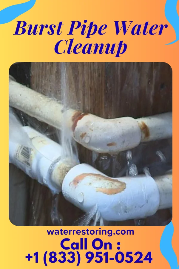 Burst Pipe Water Cleanup in South Philipsburg, PA