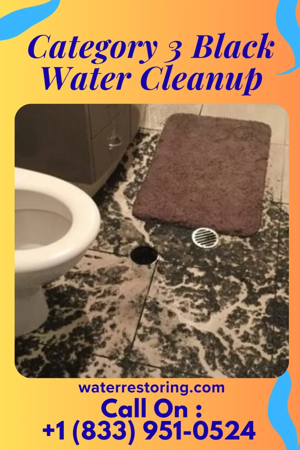 Category 3 Black Water Cleanup in South Philipsburg, PA