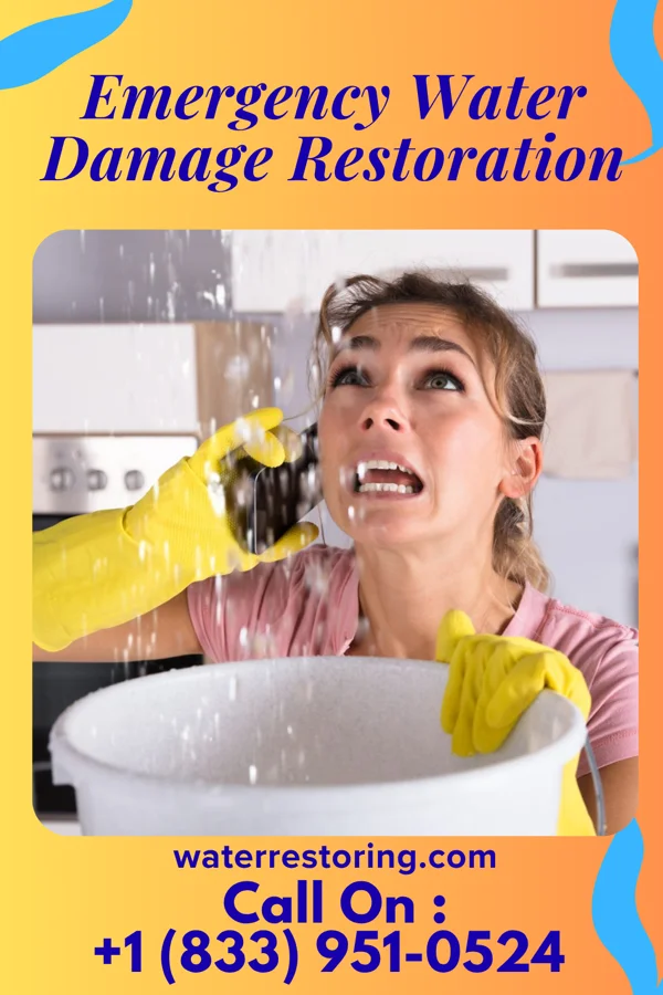 Emergency Water Damage Restoration in South Philipsburg, PA