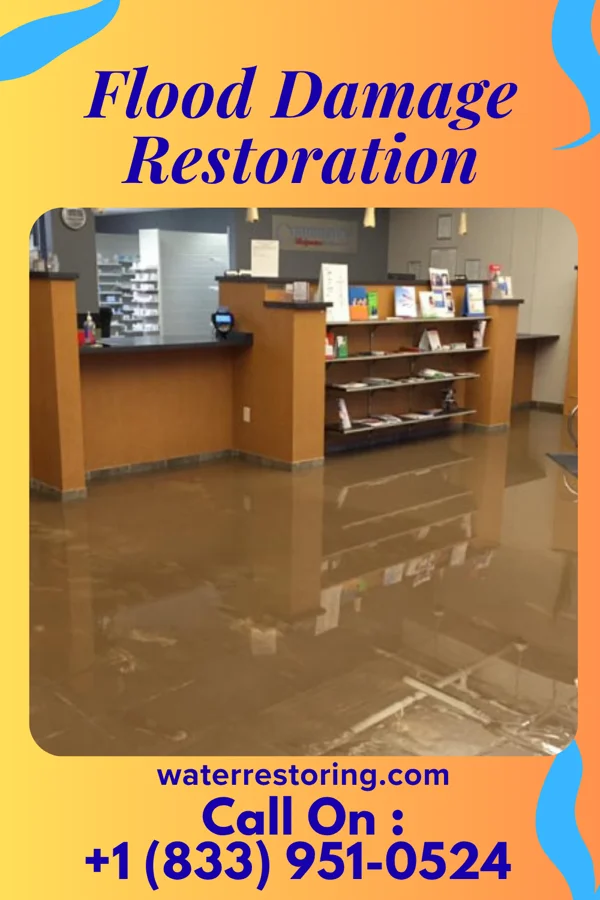 Flood Damage Restoration in South Philipsburg, PA