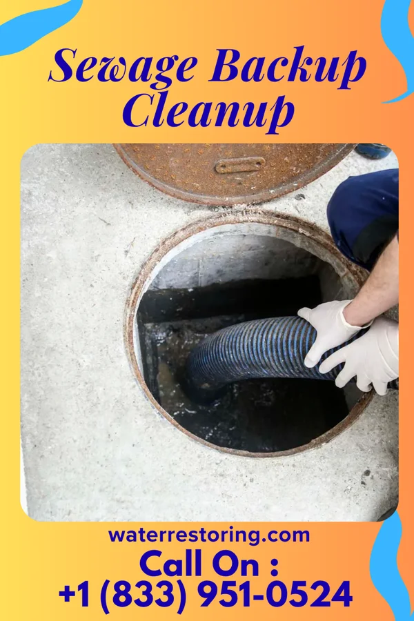 Sewage Backup Cleanup in South Philipsburg, PA