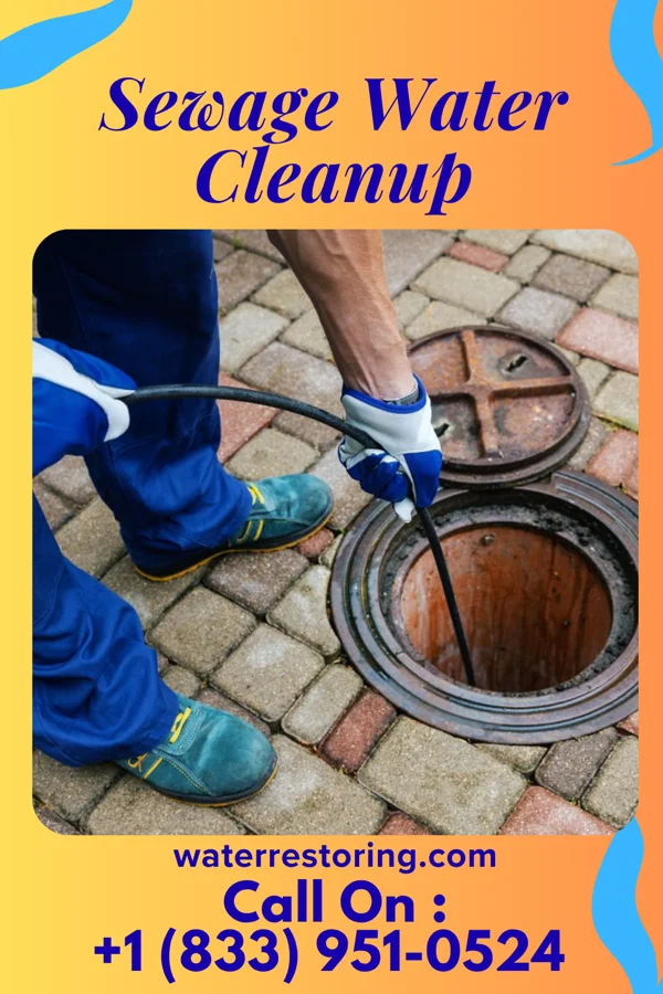Sewage Water Cleanup in South Philipsburg, PA